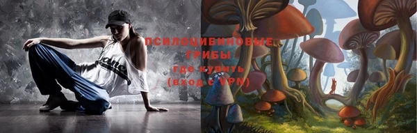 герыч Алексин