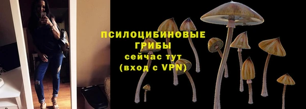 герыч Алзамай