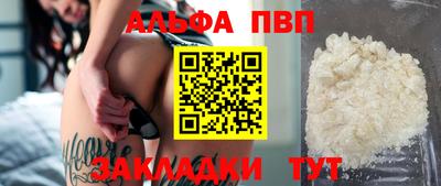 ешки Кингисепп