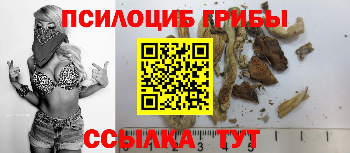 Псилоцибиновые грибы Cubensis Кулебаки